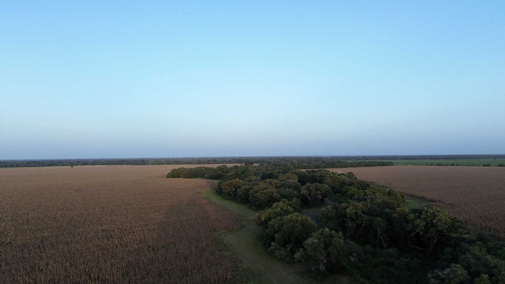 FM 1300 Farm Tract, Photo 3