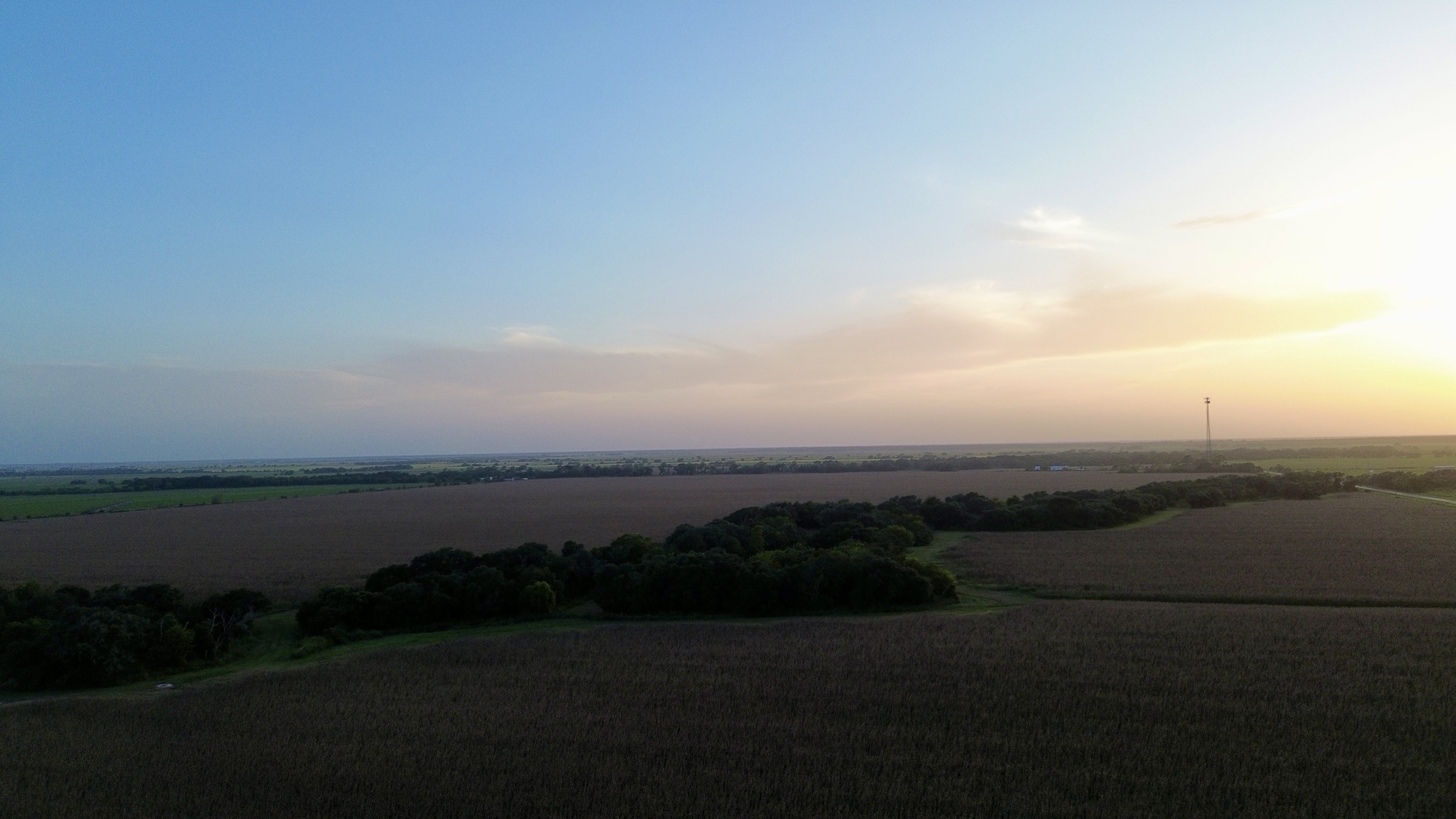 FM 1300 Farm Tract, Photo 4