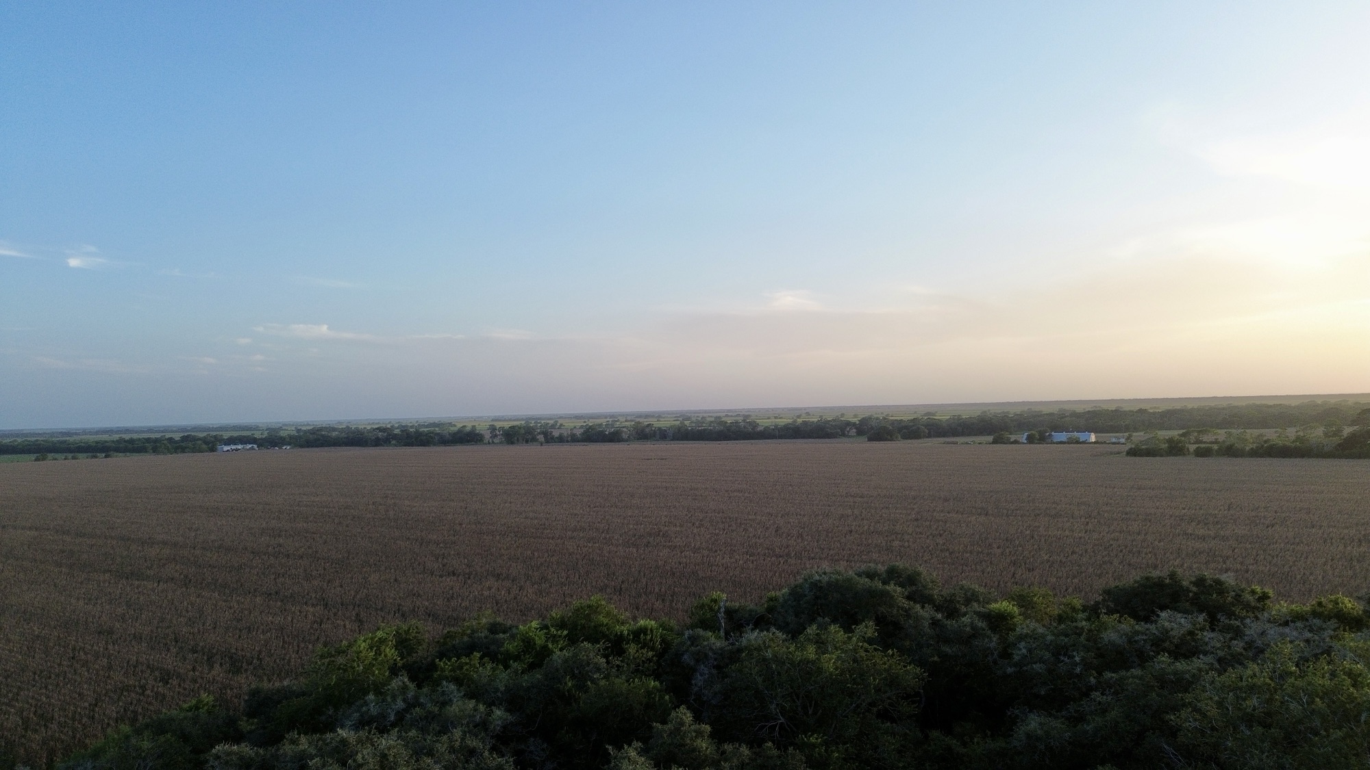 FM 1300 Farm Tract, Photo 5