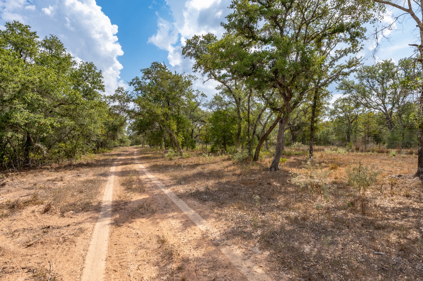 Hallettsville Weekend Retreat: Interior trail