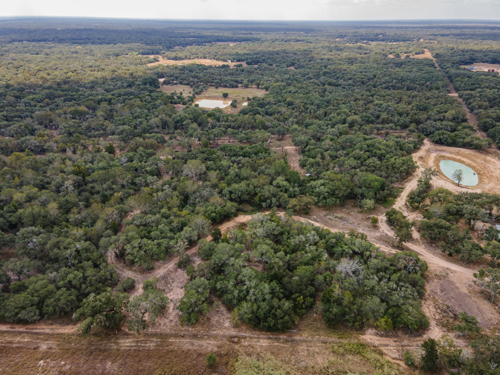 Hallettsville Weekend Retreat: Aerial of trails and tree cover