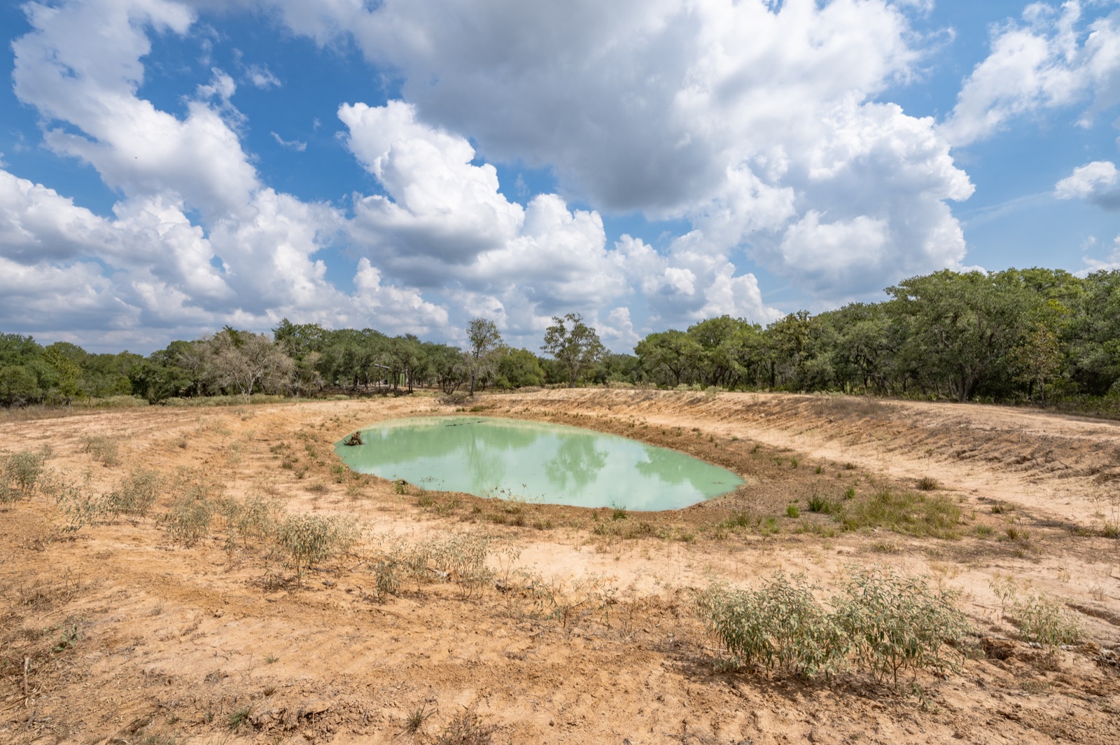 Hallettsville Weekend Retreat: Pond from the bank