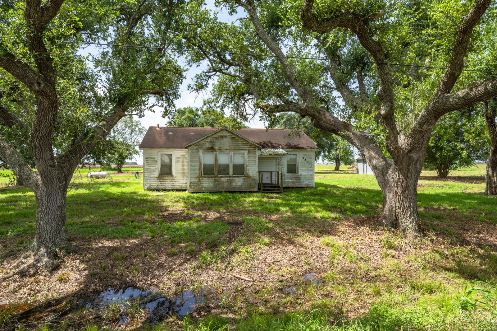 Randon School Road Acreage, farmhouse under mature oaks