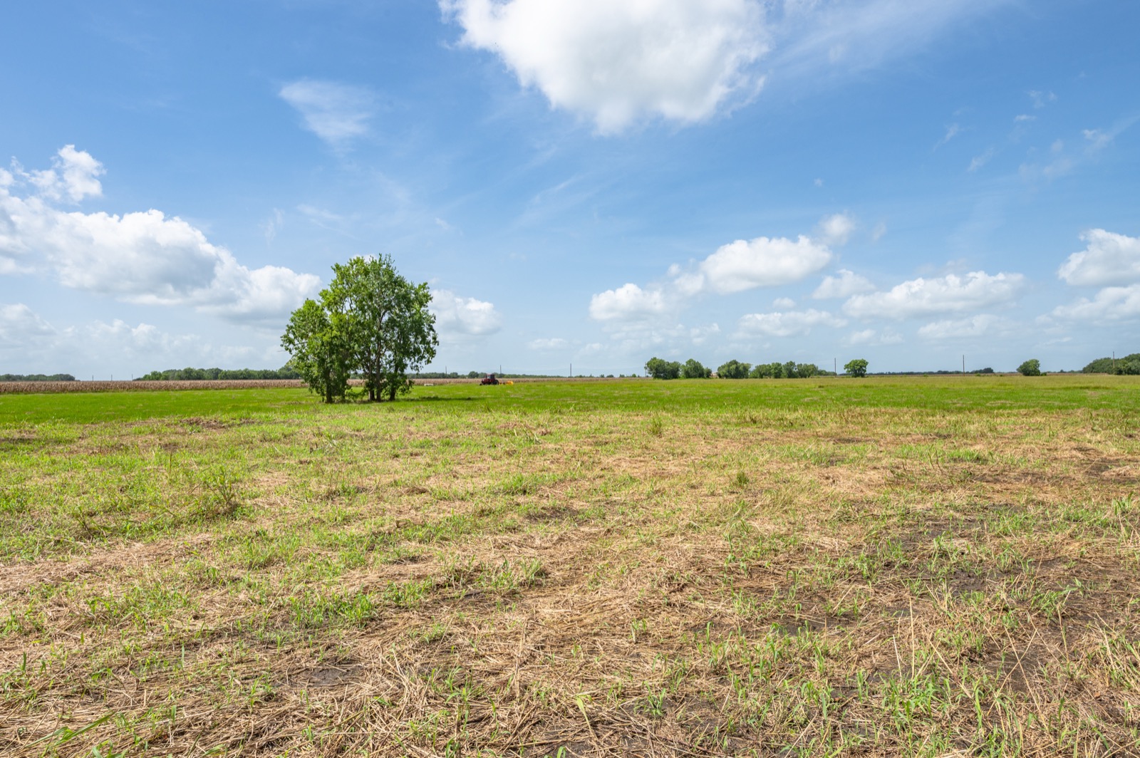 Randon School Road Acreage, open pasture and hay ground