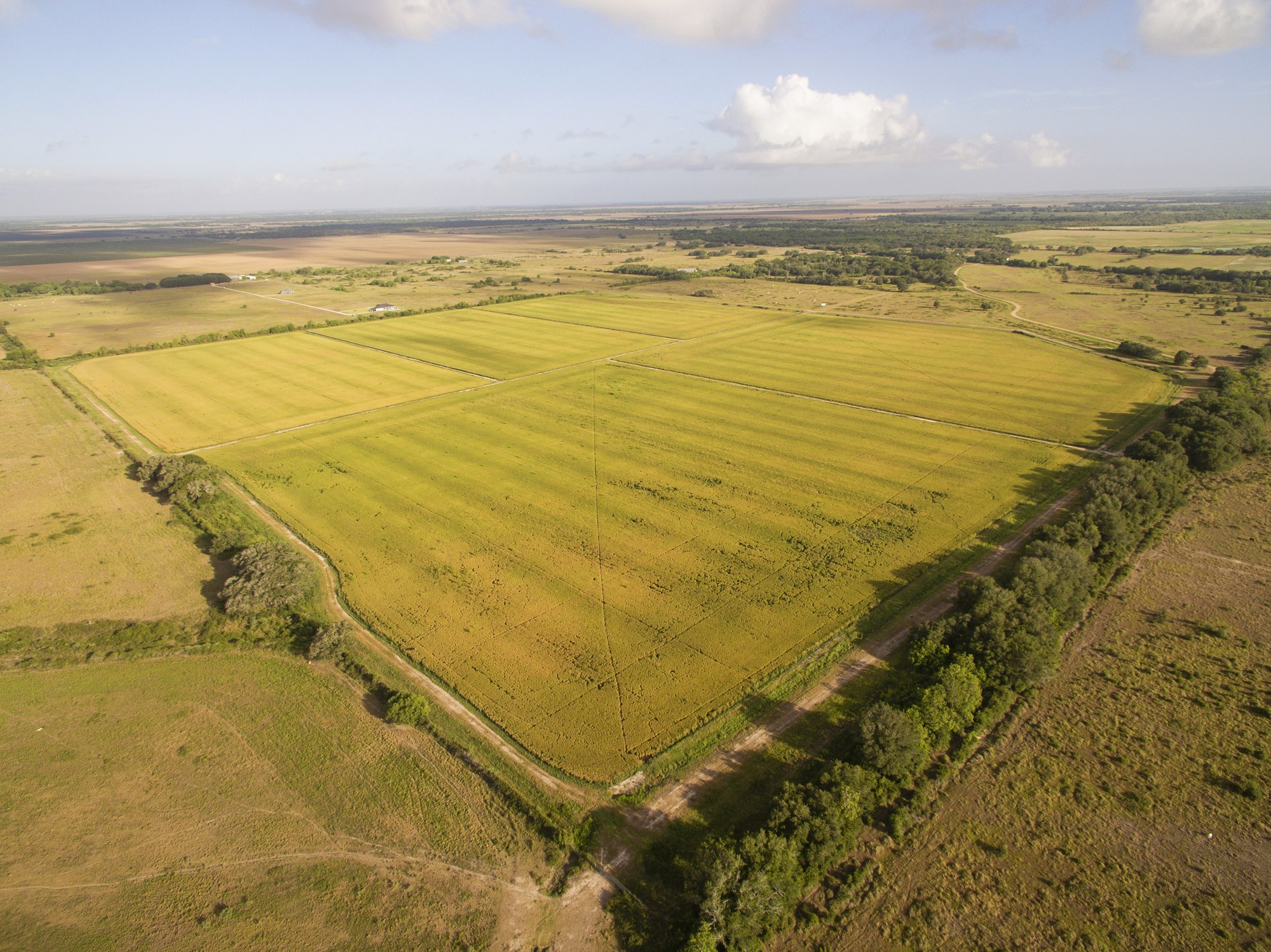 Shields + Anderson Farms, Photo 4