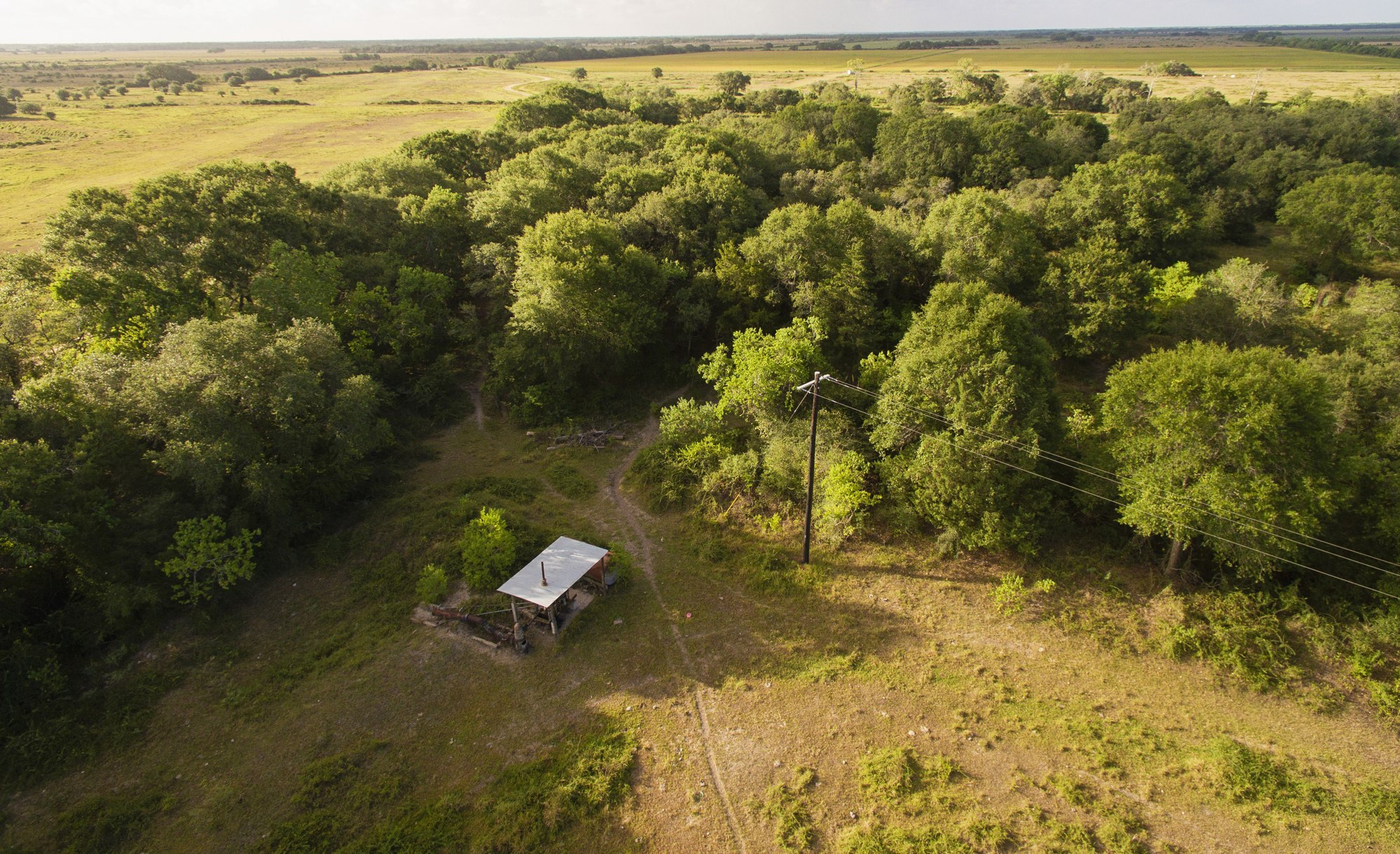 Shields + Anderson Farms, Photo 8