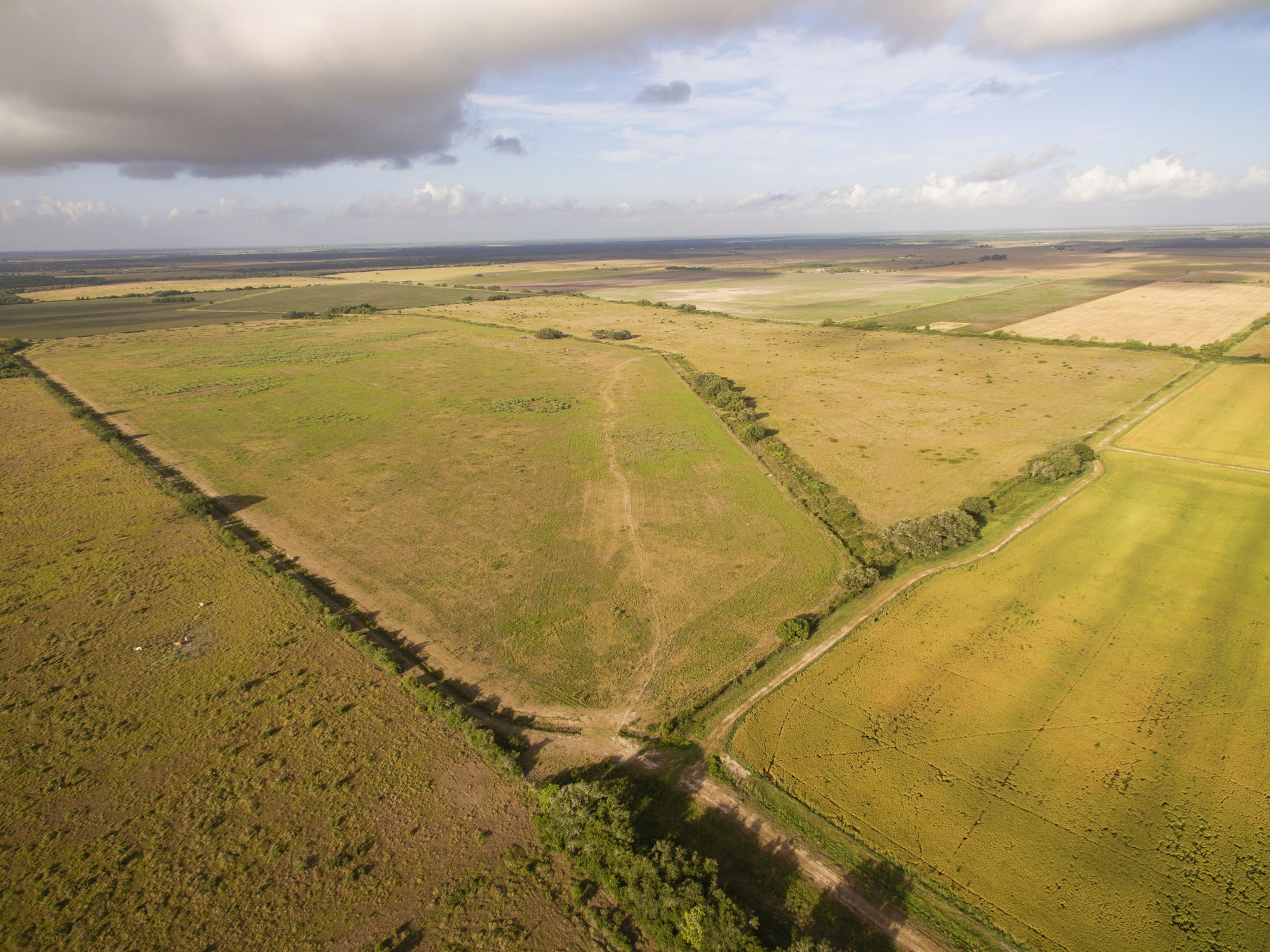 Shields + Anderson Farms, Photo 11