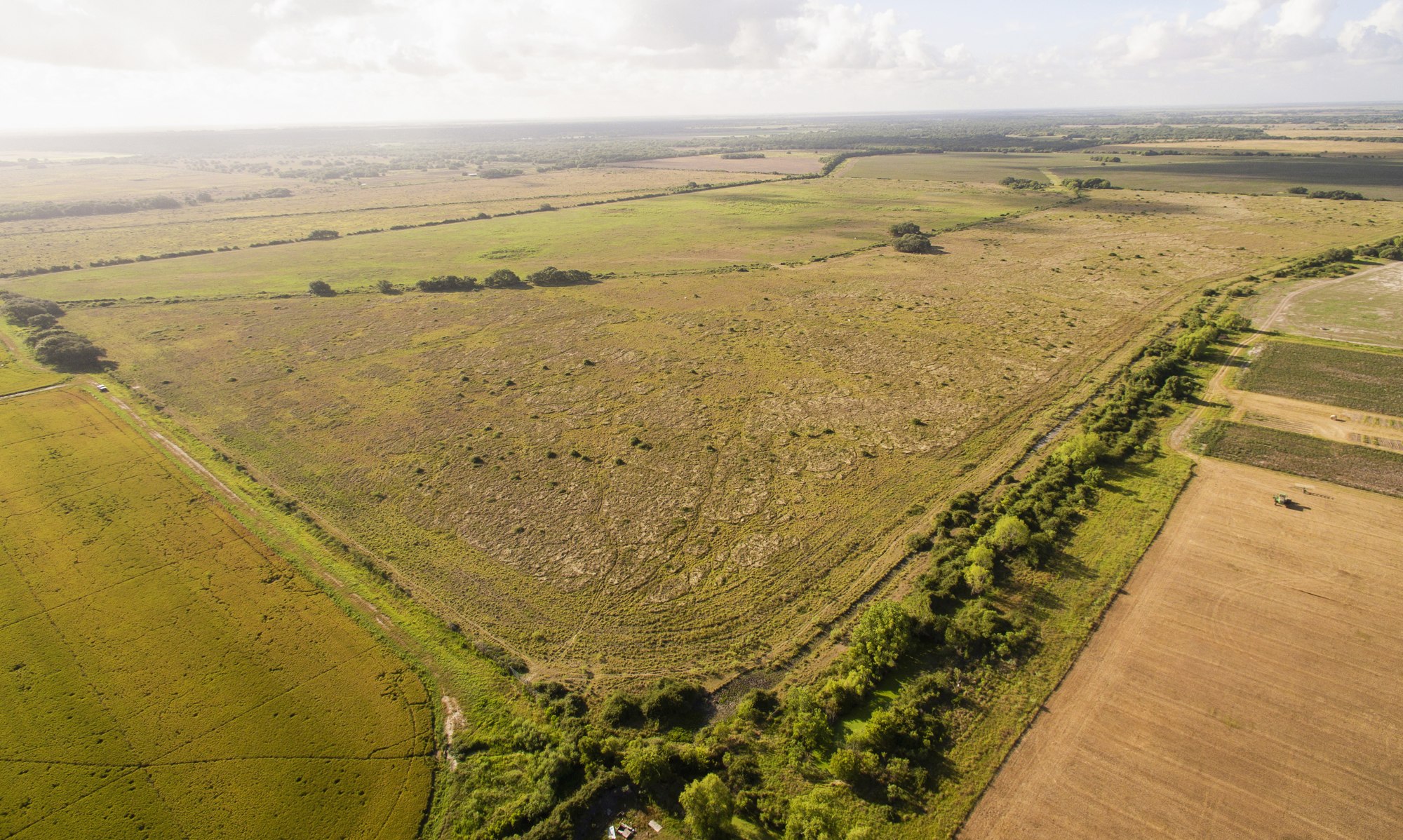 Shields + Anderson Farms, Photo 12