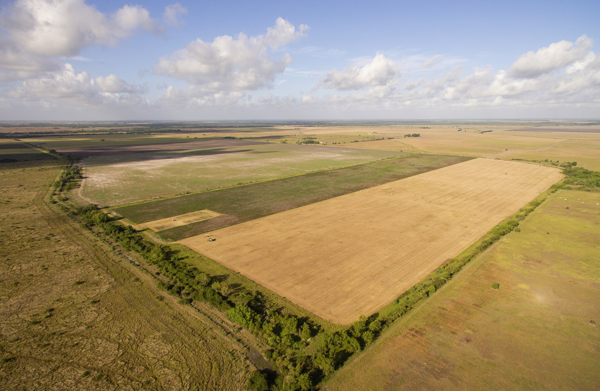 Shields + Anderson Farms, 1,237.86 ± Acres in Matagorda County, TX