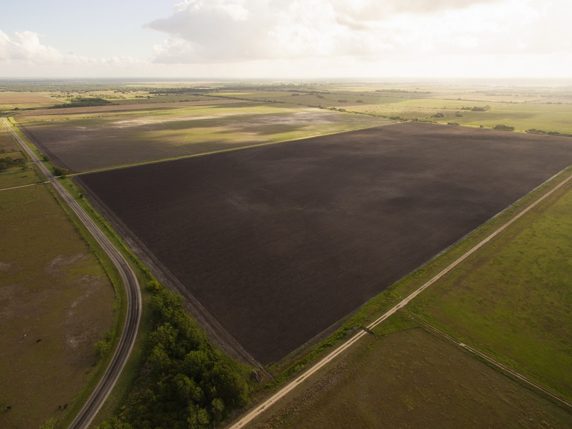Shields + Anderson Farms, Photo 17