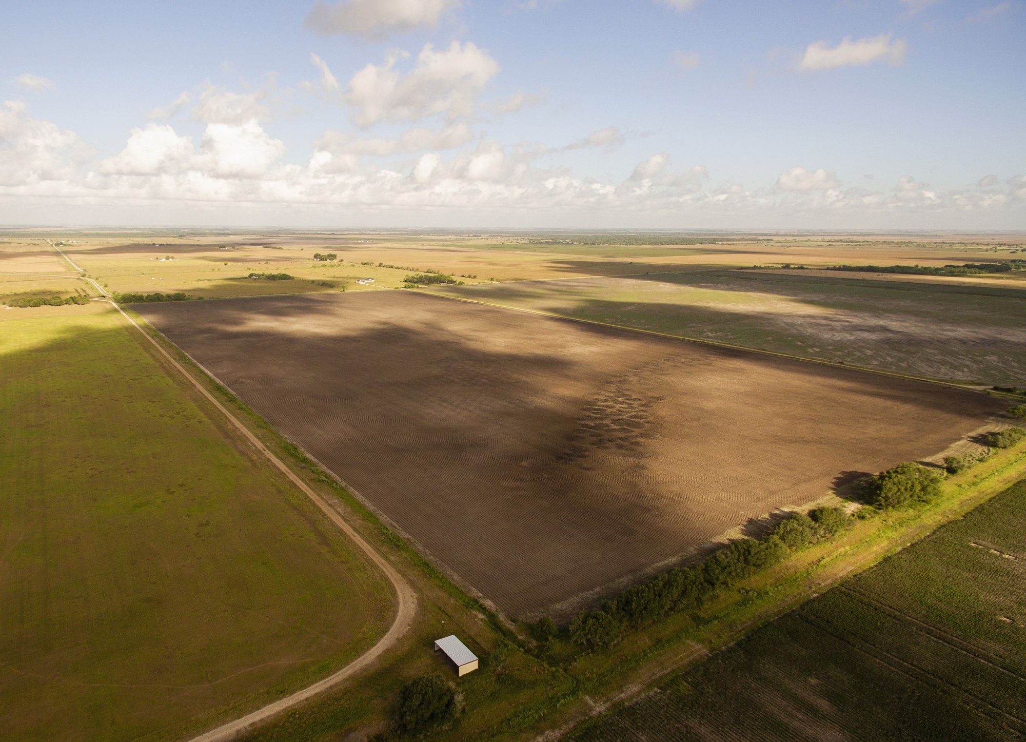 Shields + Anderson Farms, Photo 18