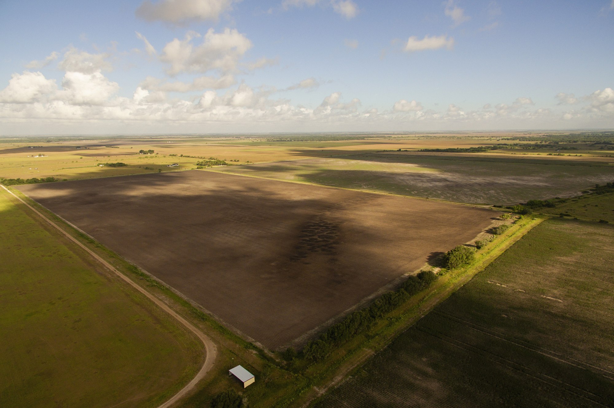 Shields + Anderson Farms, Photo 19
