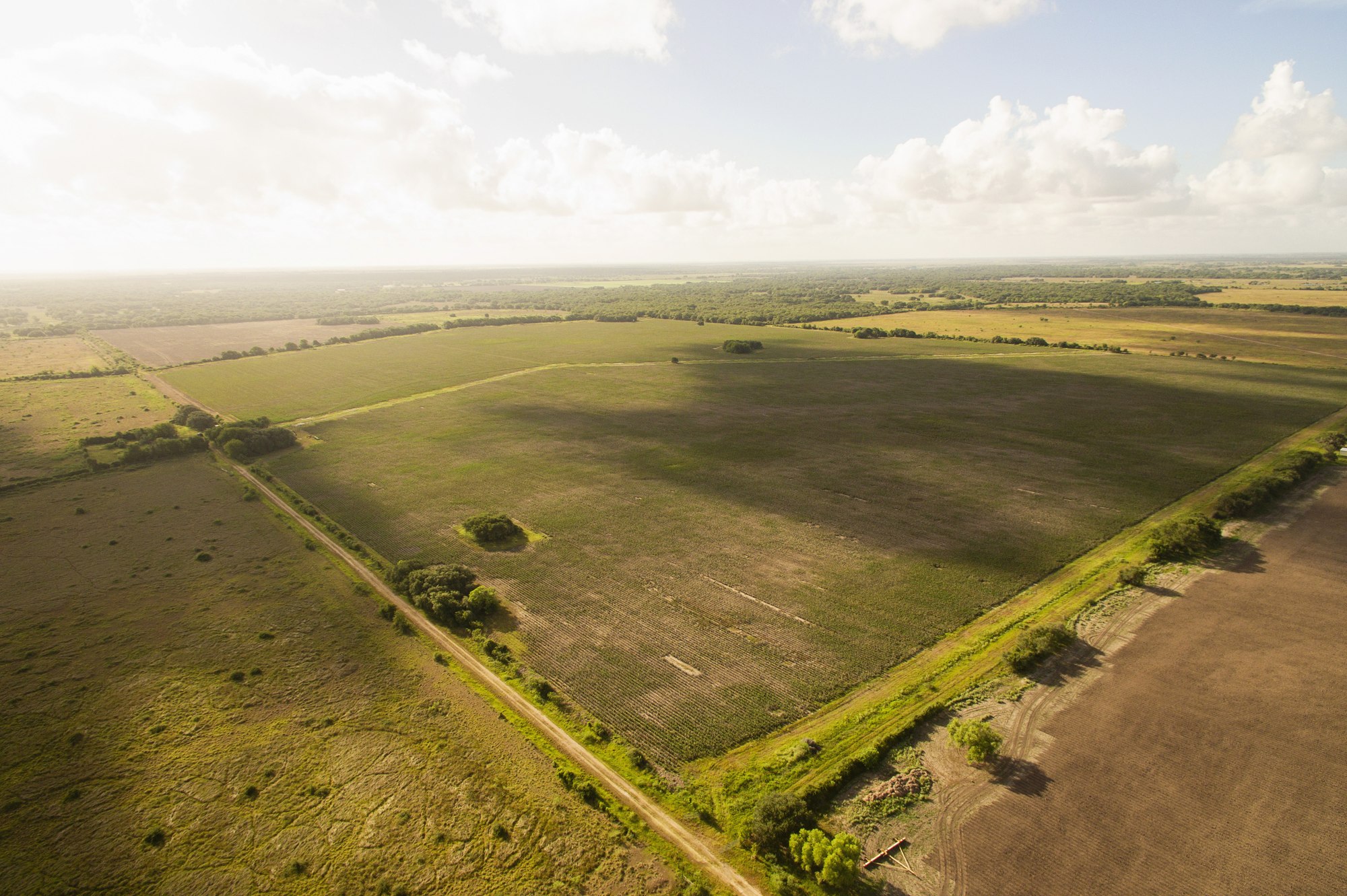 Shields + Anderson Farms, Photo 20