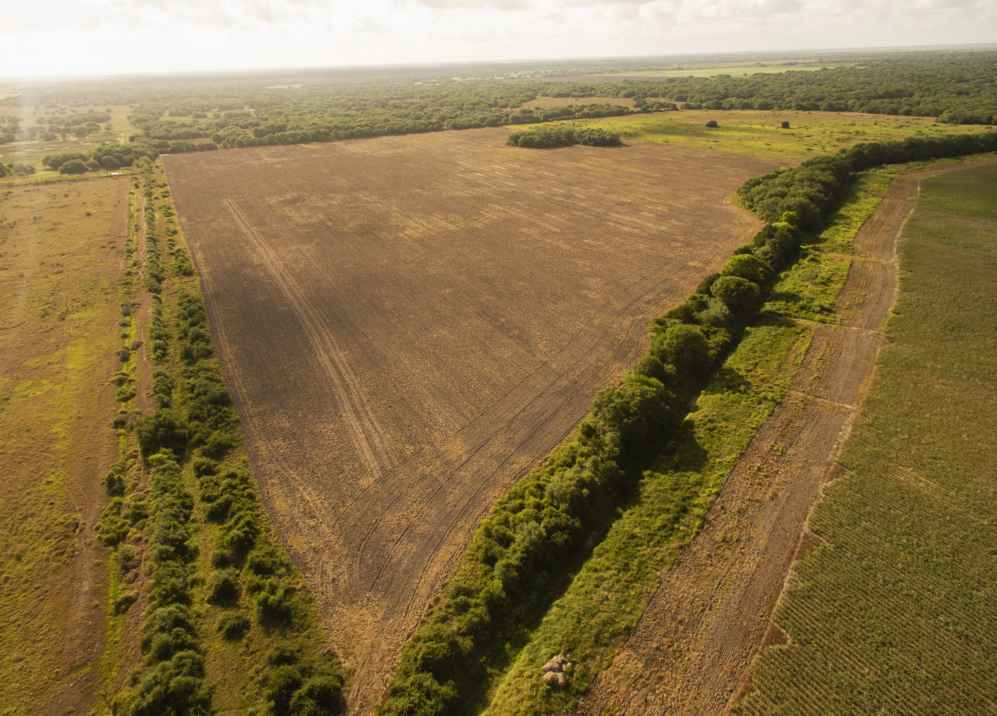 Shields + Anderson Farms, Photo 21