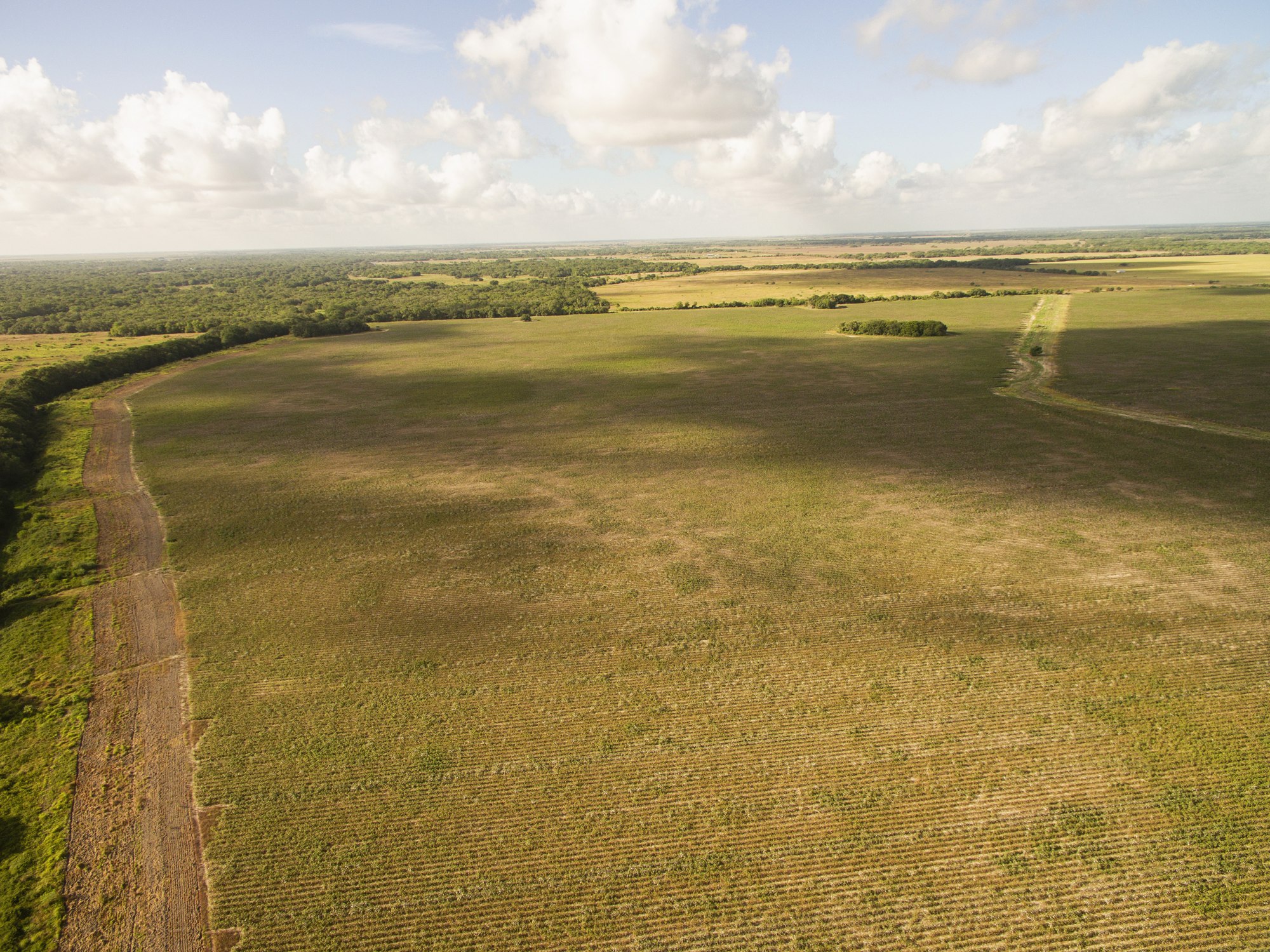 Shields + Anderson Farms, Photo 22