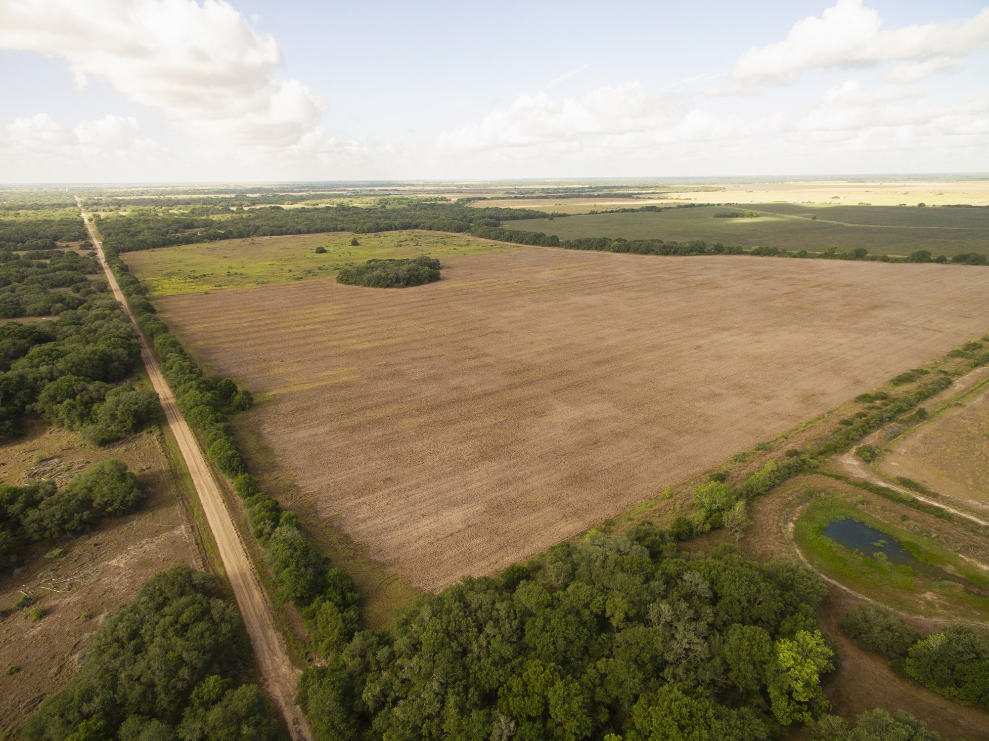 Shields + Anderson Farms, Photo 24