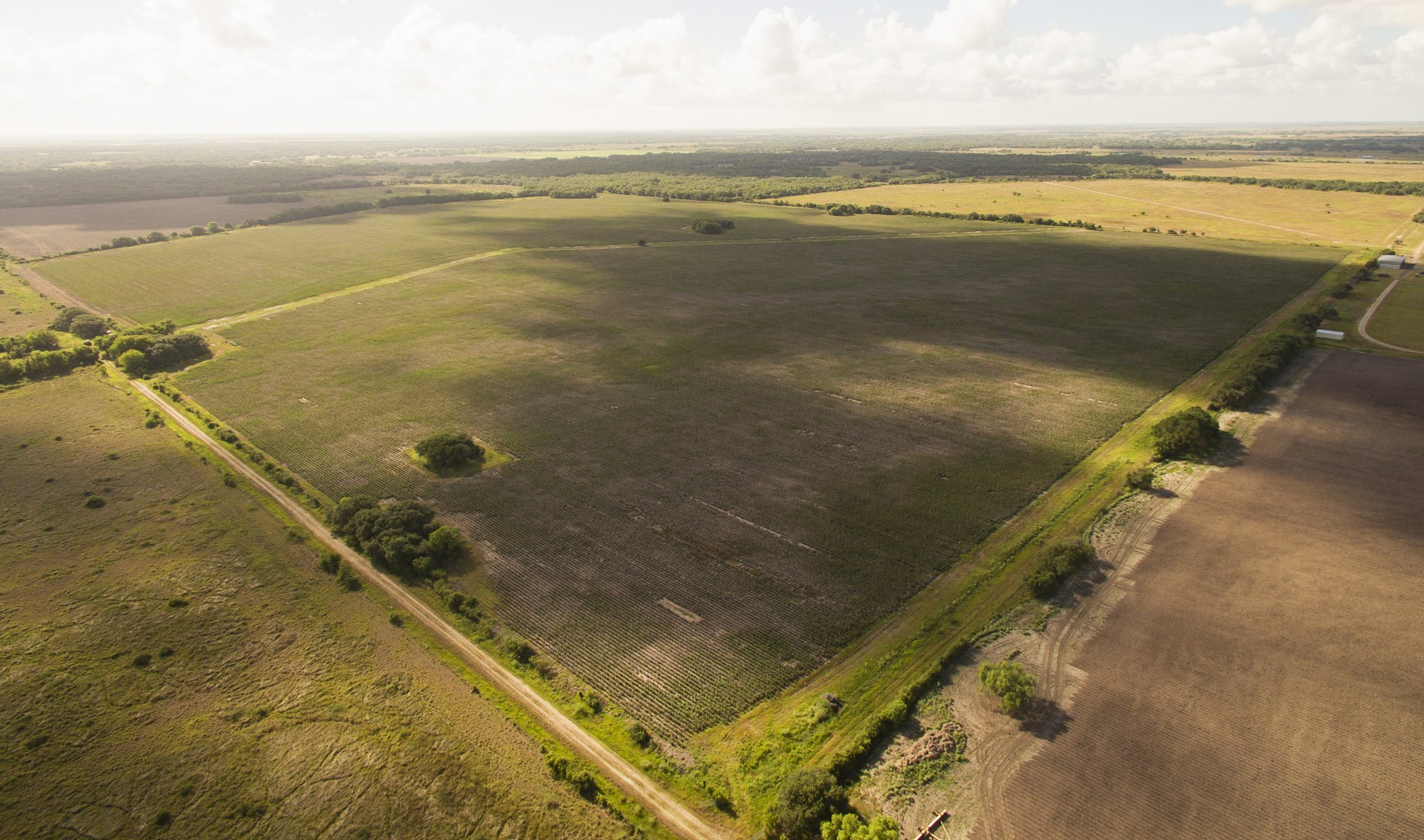 Shields + Anderson Farms, Photo 26