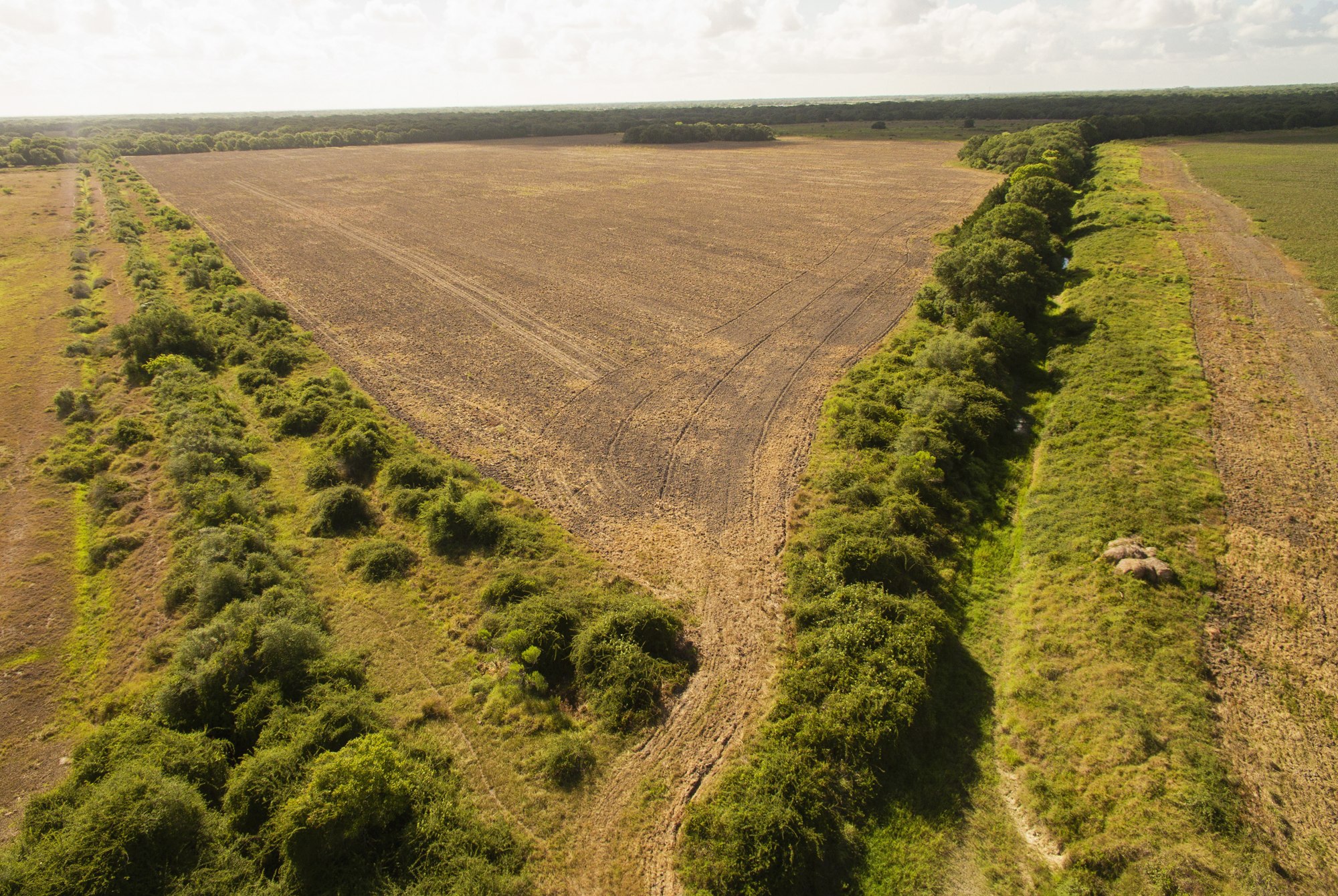 Shields + Anderson Farms, Photo 28